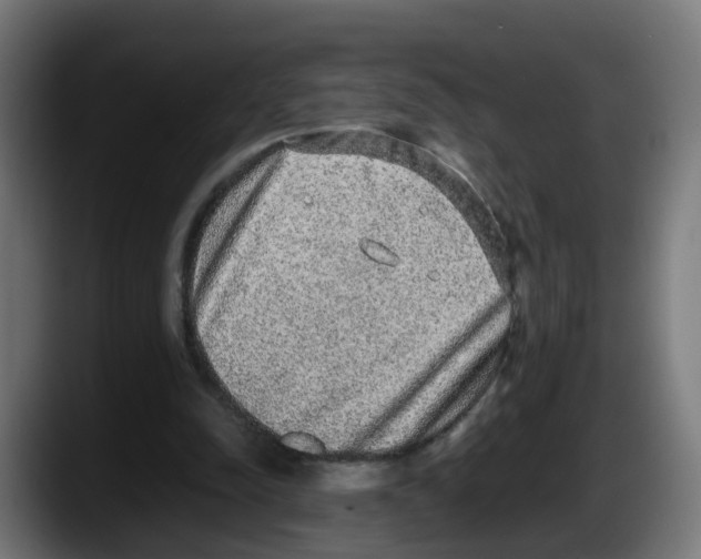 X0000087560342200705251805