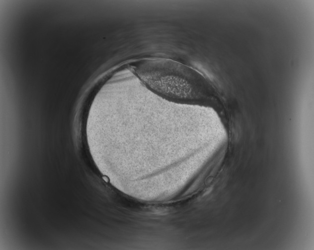 X0000087560343200705251805