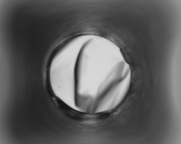 X0000087560344200705251805