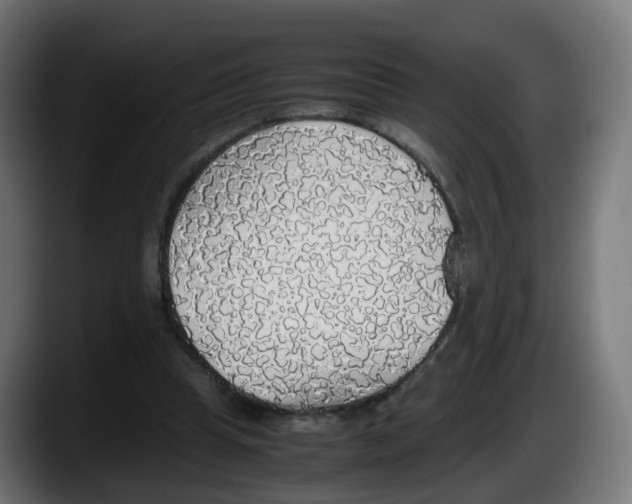 X0000087560345200705251805