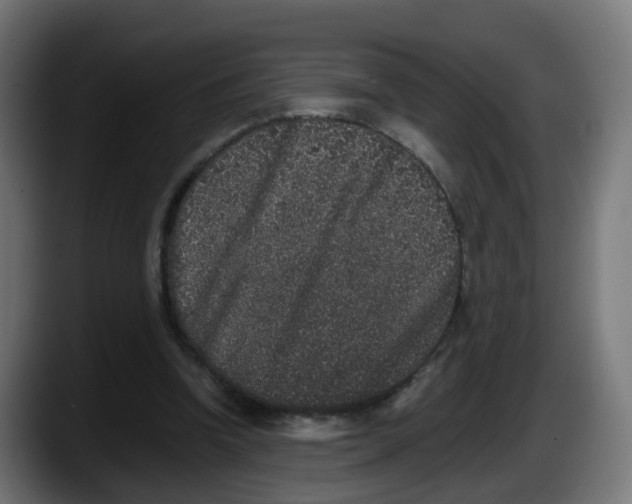 X0000087560346200705251805