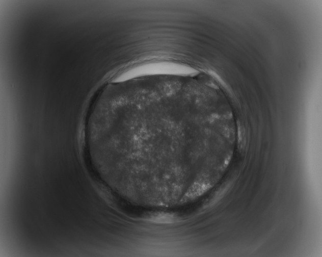 X0000087560348200705251805