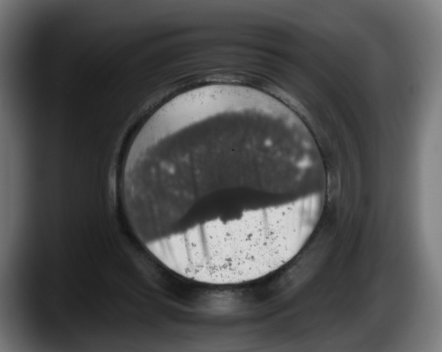 X0000087560349200705251805