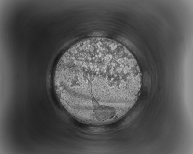 X0000087560351200705251805