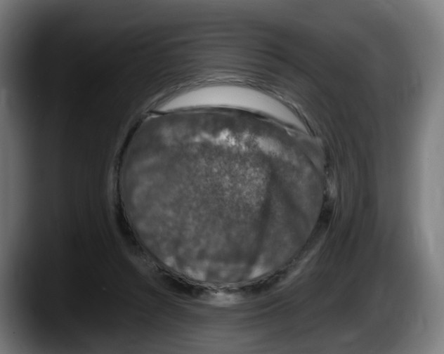 X0000087560352200705251805