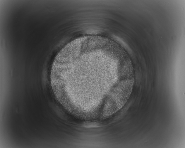 X0000087560354200705251805