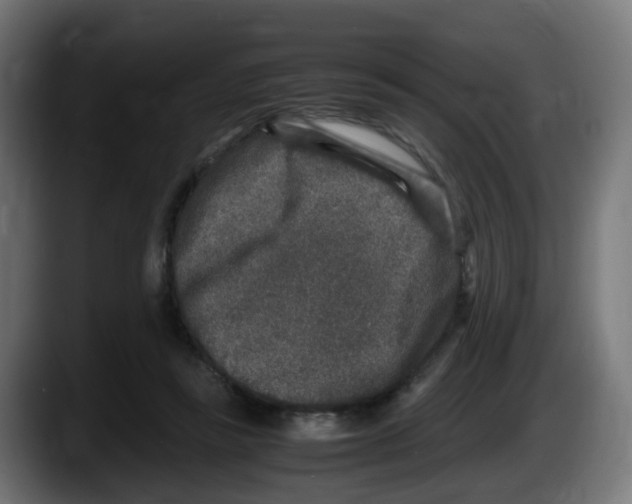 X0000087560355200705251805