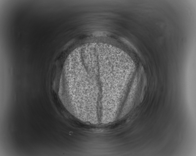 X0000087560356200705251805