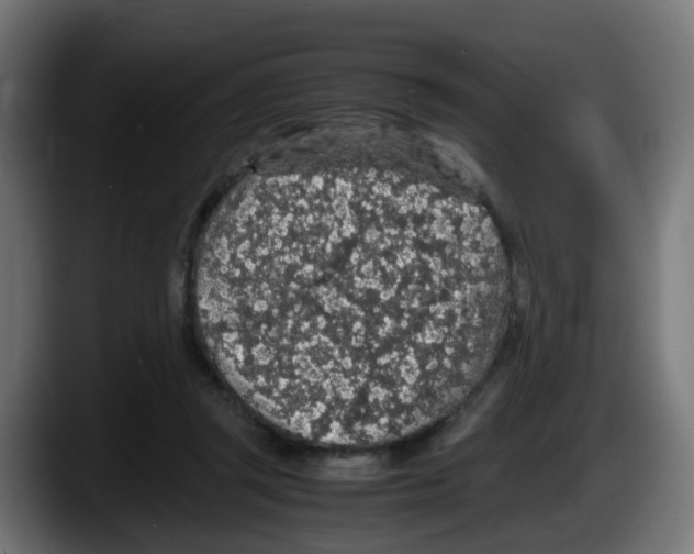 X0000087560357200705251805