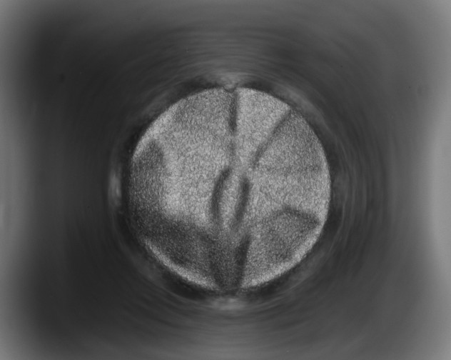 X0000087560358200705251805