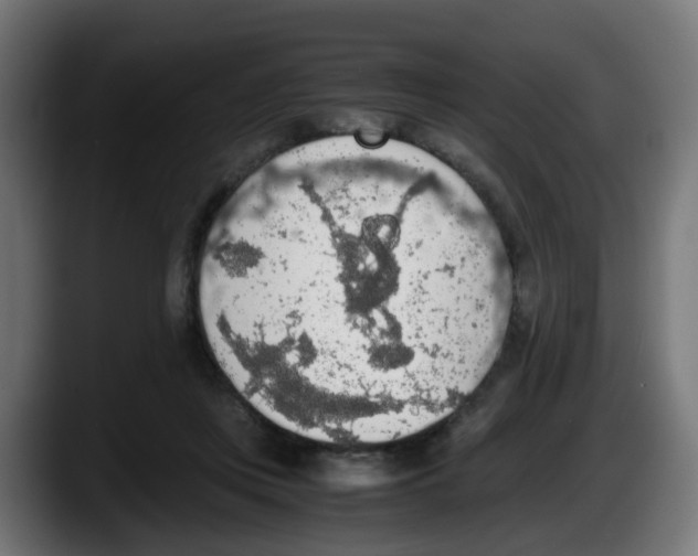 X0000087560359200705251805