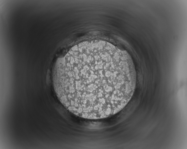 X0000087560361200705251805