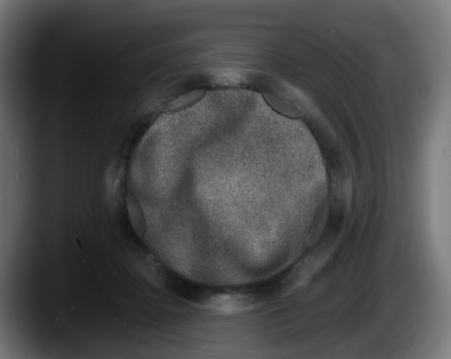 X0000087560364200705251805