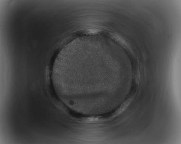 X0000087560366200705251805