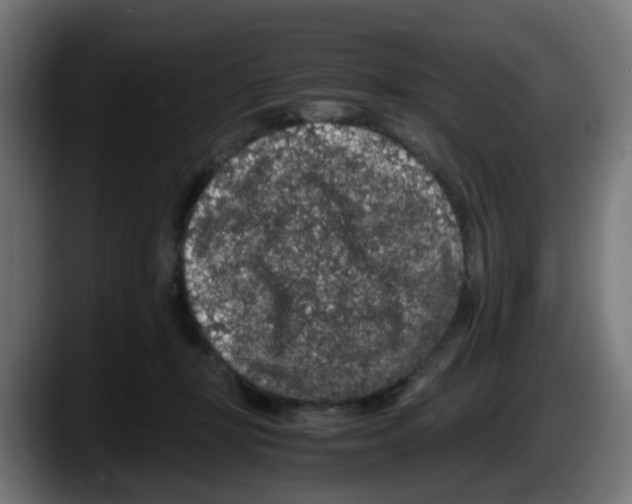 X0000087560367200705251805