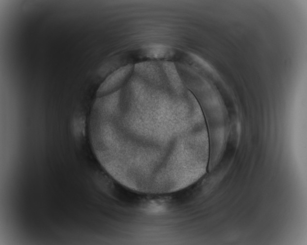 X0000087560368200705251805