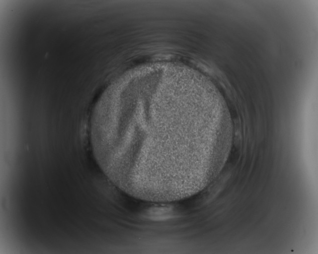 X0000087560369200705251805