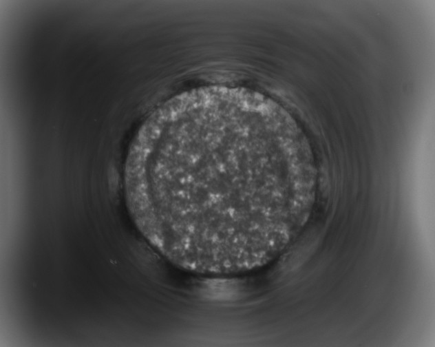 X0000087560371200705251805