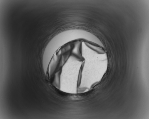 X0000087560372200705251805