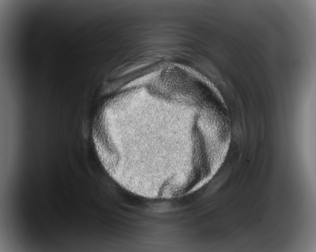 X0000087560374200705251805