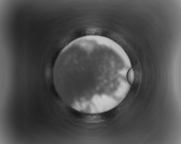 X0000087560375200705251805