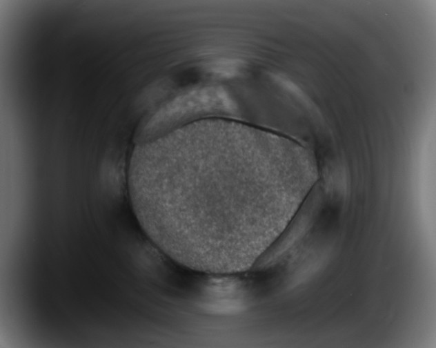 X0000087560376200705251805