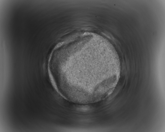 X0000087560377200705251805