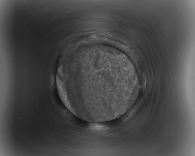 X0000087560380200705251805