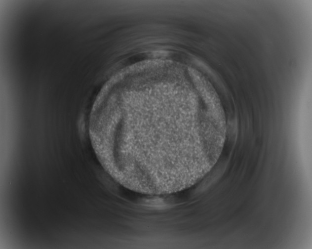X0000087560381200705251805