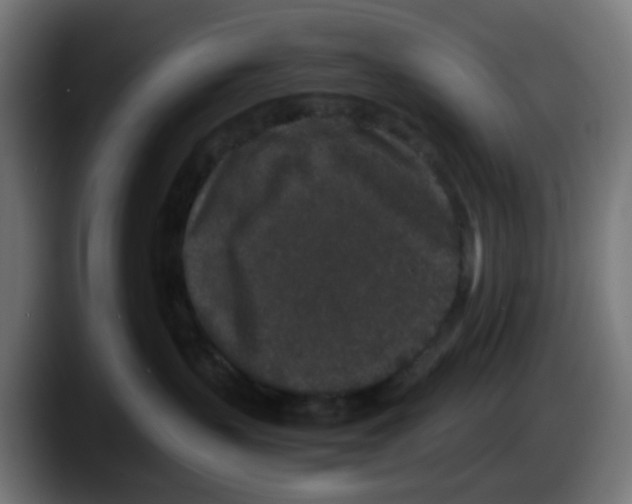 X0000087560383200705251805