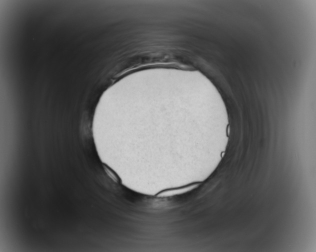 X0000087560384200705251805