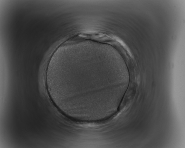 X0000087560385200705251804
