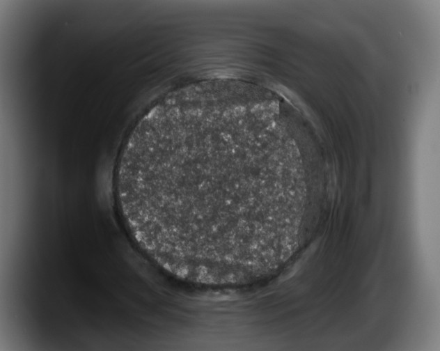 X0000087560386200705251804