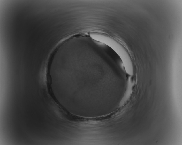 X0000087560387200705251804
