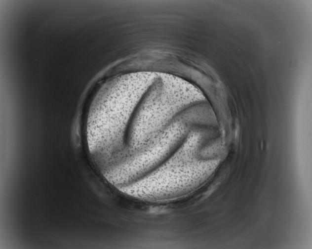 X0000087560388200705251804