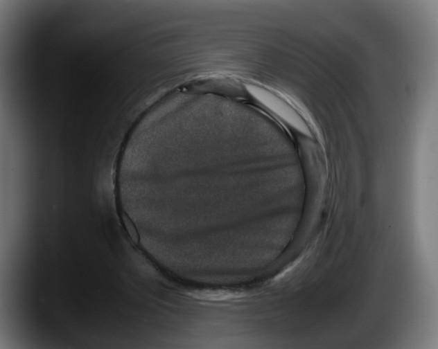 X0000087560389200705251804