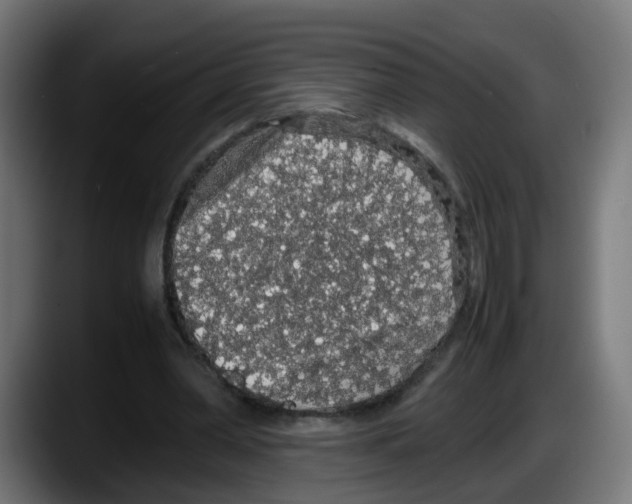 X0000087560390200705251804