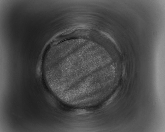 X0000087560392200705251804