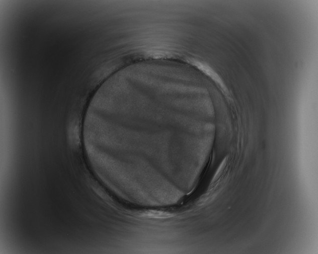 X0000087560393200705251804