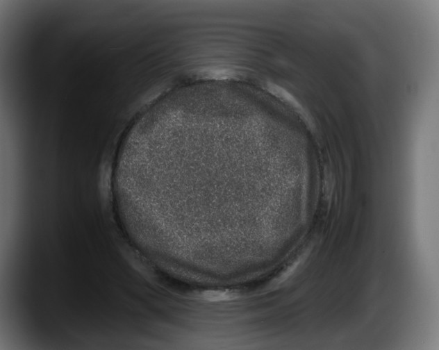 X0000087560394200705251804
