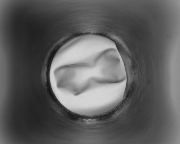 X0000087560395200705251804