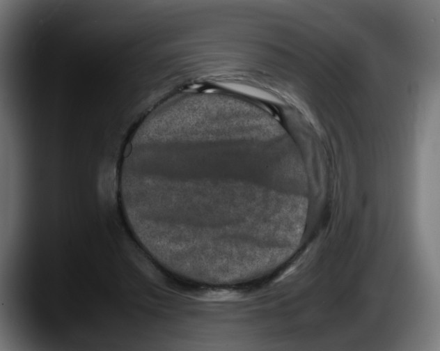 X0000087560397200705251804