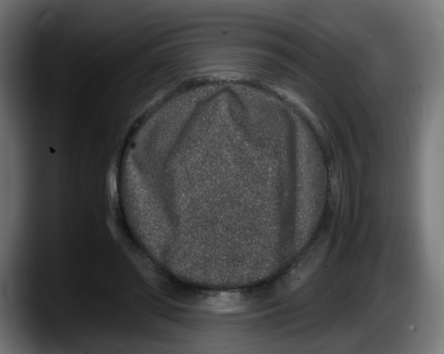 X0000087560398200705251804