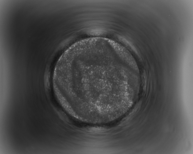 X0000087560400200705251804