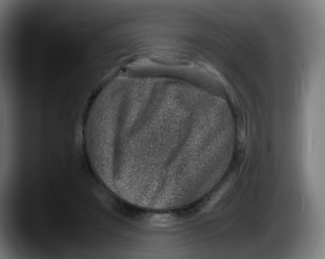 X0000087560401200705251804