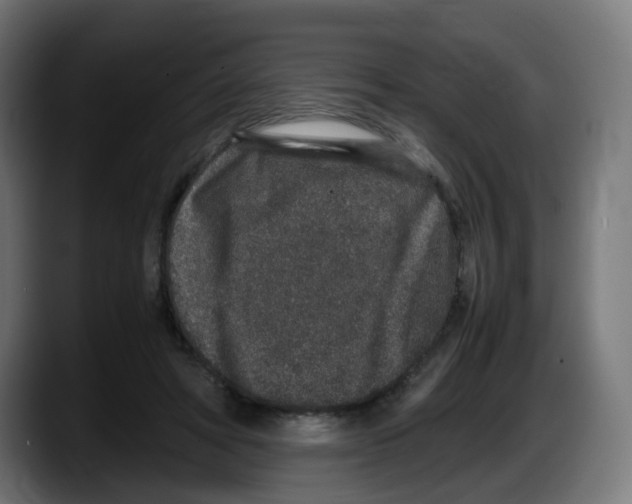 X0000087560402200705251804