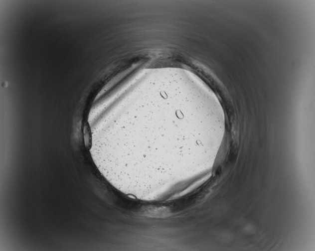 X0000087560403200705251804