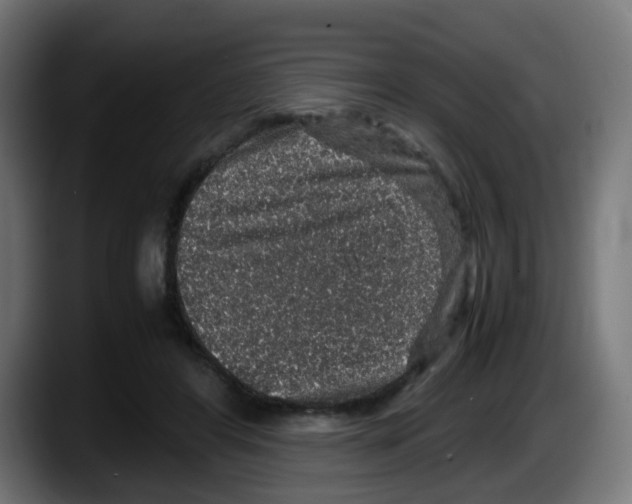 X0000087560404200705251804