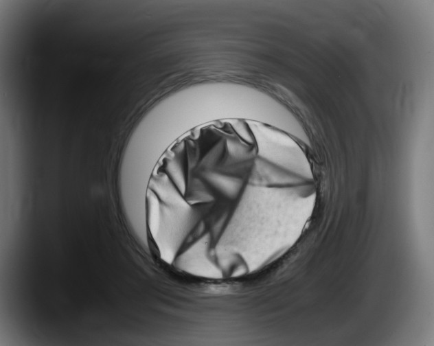 X0000087560405200705251804