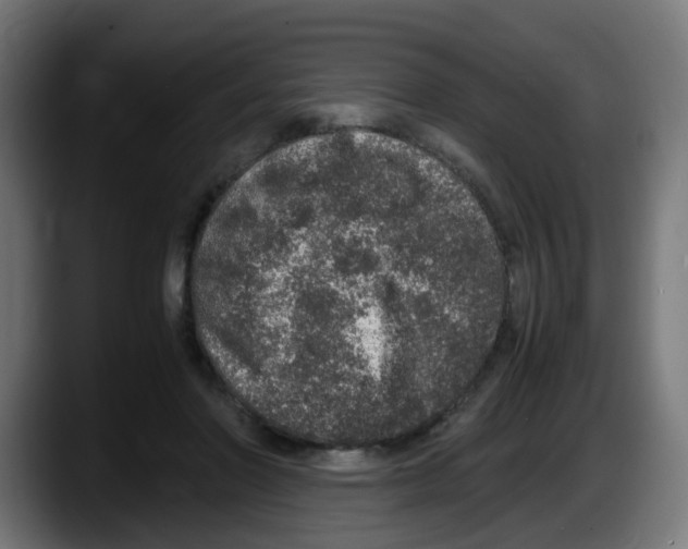 X0000087560406200705251804